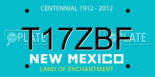 T17ZBF New Mexico License Plate