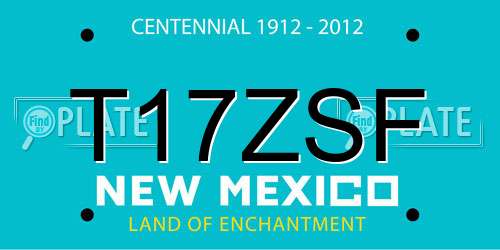T17ZSF New Mexico License Plate