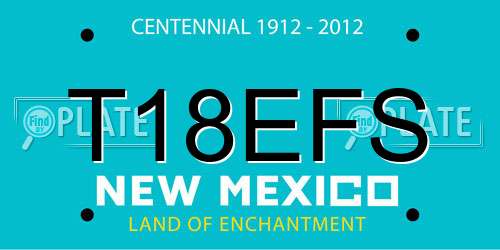 T18EFS New Mexico License Plate