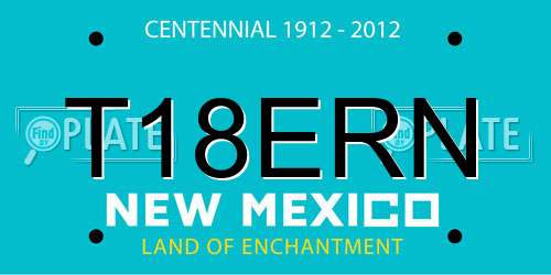 T18ERN New Mexico License Plate