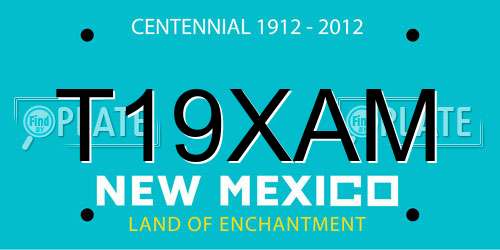 T19XAM New Mexico License Plate