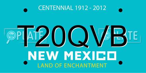 T20QVB New Mexico License Plate