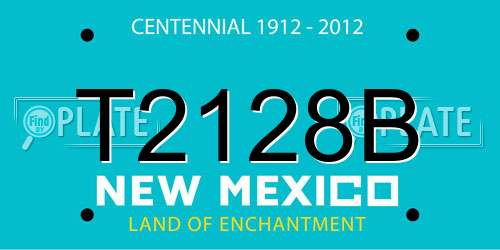T2128B New Mexico License Plate