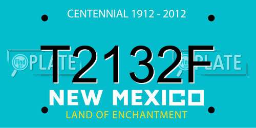 T2132F New Mexico License Plate