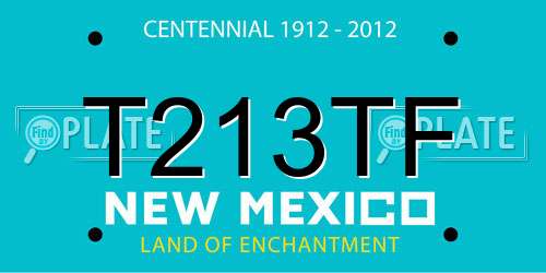 T213TF New Mexico License Plate