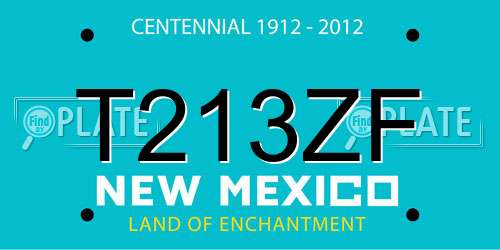 T213ZF New Mexico License Plate