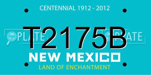 T2175B New Mexico License Plate