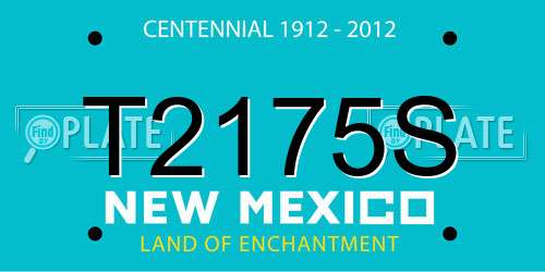 T2175S New Mexico License Plate