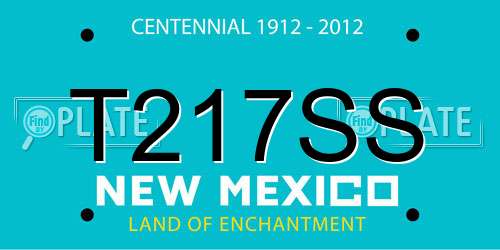T217SS New Mexico License Plate