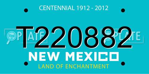 T220882 New Mexico License Plate