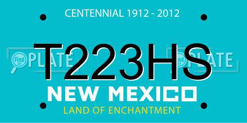 T223HS New Mexico License Plate