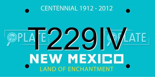 T229IV New Mexico License Plate
