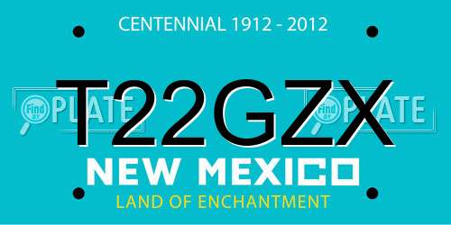 T22GZX New Mexico License Plate