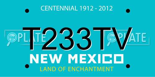 T233TV New Mexico License Plate