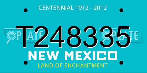 T248335 New Mexico License Plate