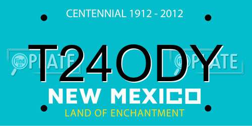 T24ODY New Mexico License Plate