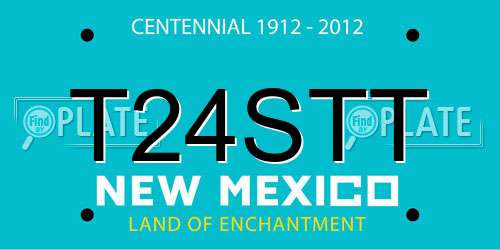 T24STT New Mexico License Plate