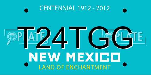 T24TGG New Mexico License Plate