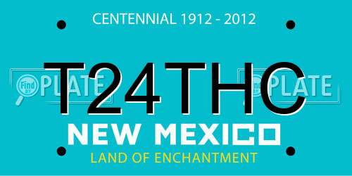 T24THC New Mexico License Plate