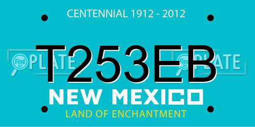 T253EB New Mexico License Plate