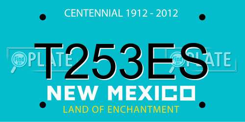 T253ES New Mexico License Plate