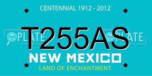 T255AS New Mexico License Plate