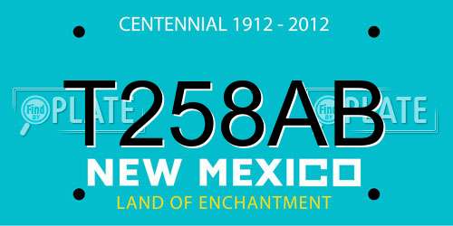 T258AB New Mexico License Plate