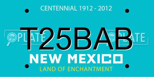 T25BAB New Mexico License Plate