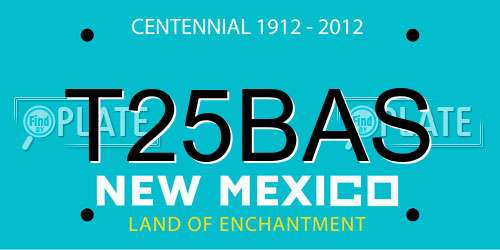 T25BAS New Mexico License Plate