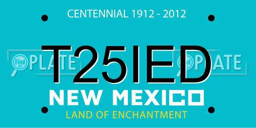 T25IED New Mexico License Plate