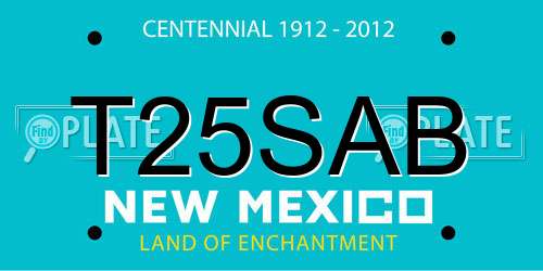 T25SAB New Mexico License Plate
