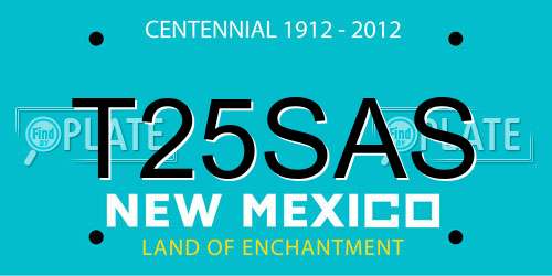 T25SAS New Mexico License Plate