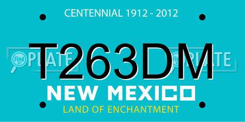 T263DM New Mexico License Plate