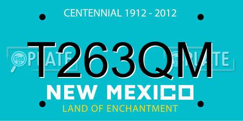T263QM New Mexico License Plate