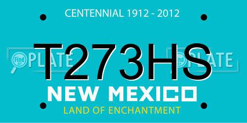 T273HS New Mexico License Plate