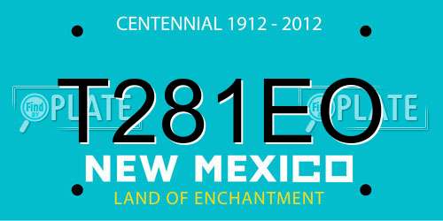 T281EO New Mexico License Plate