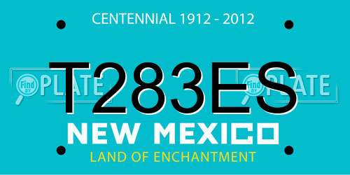 T283ES New Mexico License Plate