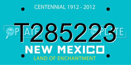 T285223 New Mexico License Plate