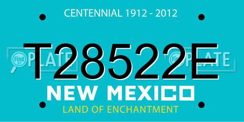 T28522E New Mexico License Plate