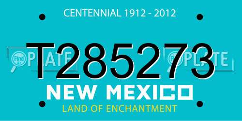 T285273 New Mexico License Plate