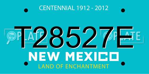 T28527E New Mexico License Plate