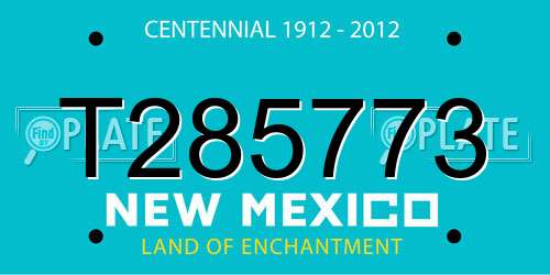 T285773 New Mexico License Plate