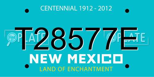 T28577E New Mexico License Plate