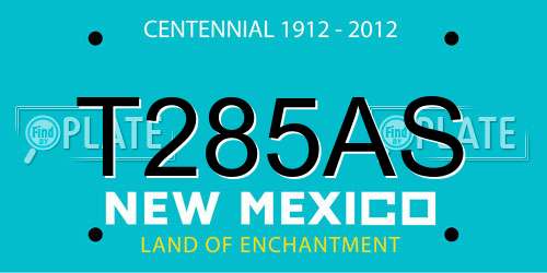 T285AS New Mexico License Plate