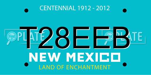 T28EEB New Mexico License Plate