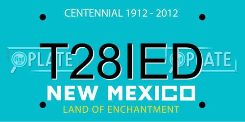 T28IED New Mexico License Plate