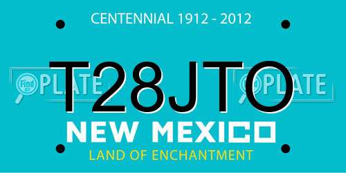 T28JTO New Mexico License Plate