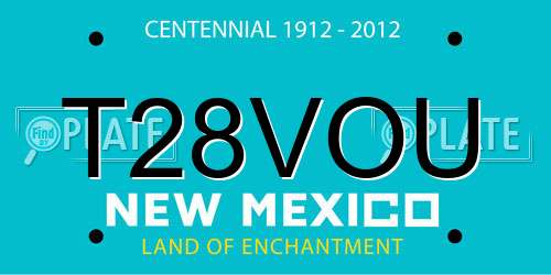 T28VOU New Mexico License Plate