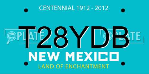 T28YDB New Mexico License Plate