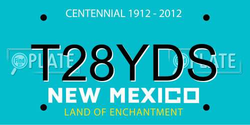 T28YDS New Mexico License Plate